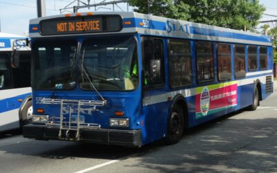 SEAT New Flyer D35LF
